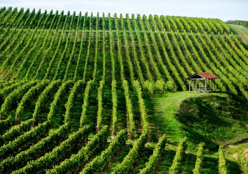 Przywitaj lato w Kiszyniowie ☀️🍇 City break w supercenie 390 PLN (loty + noclegi) 🔥😮