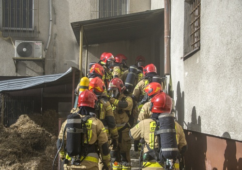 Warsztaty „MIESZKANIÓWKA 2026” w Pile