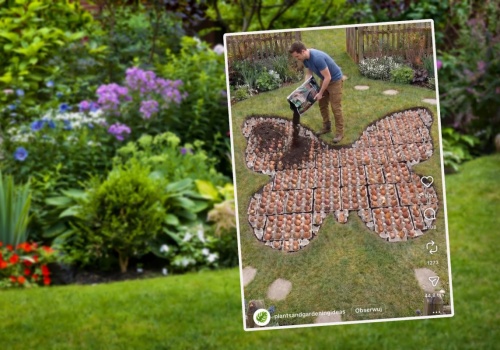 Wytłaczanki po jajkach zbieram już od miesiąca. Potem rozkładam w ogrodzie i problem z głowy