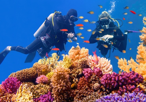 Egipskie wakacje w luksusie 🌊🐠 All inclusive w 4* hotelu nad Morzem Czerwonym za 2379 PLN