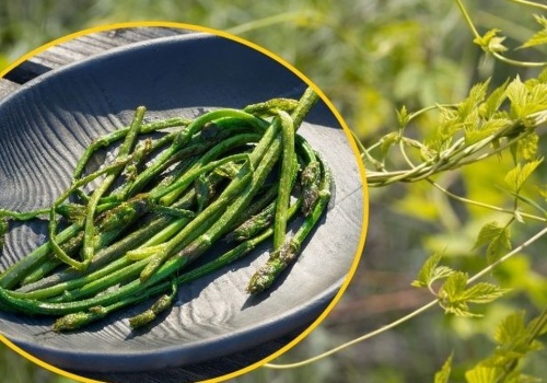 Poznaj najdroższe warzywo na świecie. Cenowo bije na głowę szafran i trufle