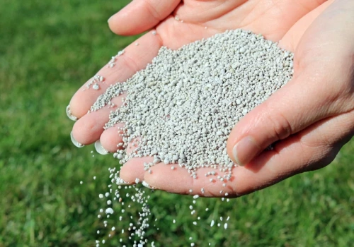 Posyp trawnik tym białym proszkiem w marcu. Mech zniknie, a murawa będzie jak na Narodowym