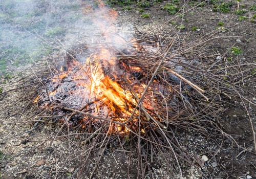 Palisz gałęzie na działce? Brawo, straż miejska tylko na to czeka. Kara to nawet 5 tys. zł