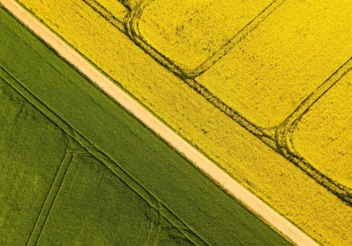 Produkty w nowej odsłonie, skład bez zmian. Qemetica® z nowymi etykietami