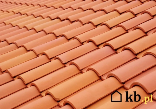 Który dach przetrwa 100 lat? AI porównała blachę, ceramikę i papę