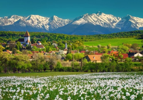 Zobacz rolnictwo Japonii i Rumunii. Ruszają zapisy na wyjazdy studyjne
