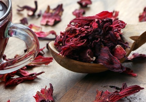 Hibiskus wspaniale działa na włosy. Po takiej kuracji będą mocne i błyszczące