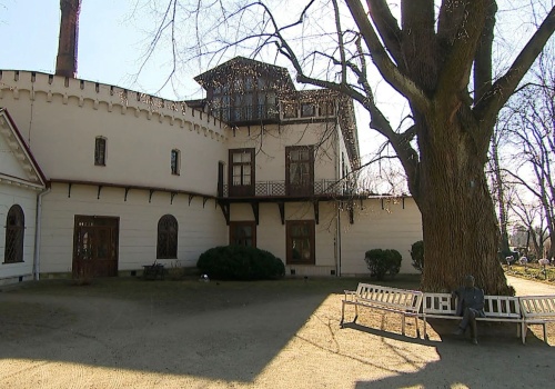 Ponad 300-letnia Lipa Sobieskiego z Przeworska w finale konkursu „Drzewo Roku”