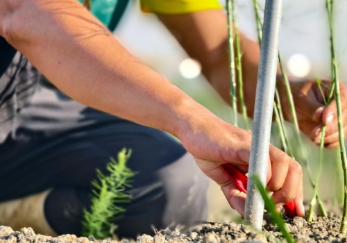 Płacą 14 tys. zł miesięcznie, a wymagania są minimalne. Polacy i tak kręcą nosem na tę pracę