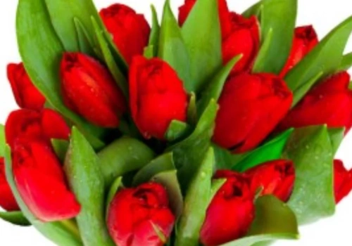 Zaproszenie na imieniny Krystyn - piątek, 13 marca