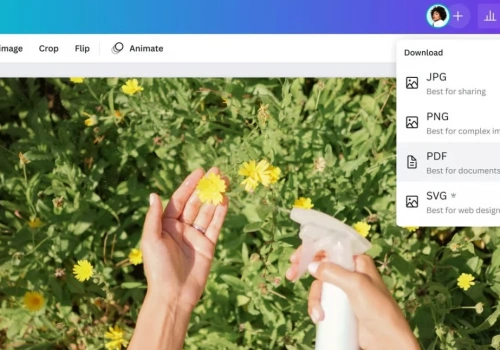 Masz zdjęcie w JPG? Zrób z niego profesjonalny PDF w kilka minut