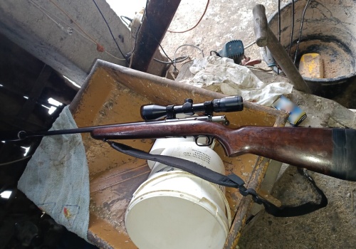 Seria kradzieży bydła na Podlasiu. Straty sięgają 60 tys. zł