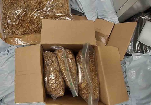 Lewy tytoń i e-papierosy w sortowniach przesyłek w Zielonej Górze i Gorzowie Wlkp.