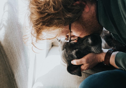 Zawsze żegnasz się ze zwierzakiem przed wyjściem z domu? Psycholog: ten nawyk zdradza 7 cech osobowości