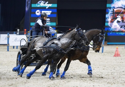 CAVALIADA Tour. Najlepsi powożący zaprzęgami parokonnymi