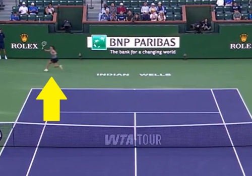 Iga Świątek wróciła w tej akcji z dalekiej podróży