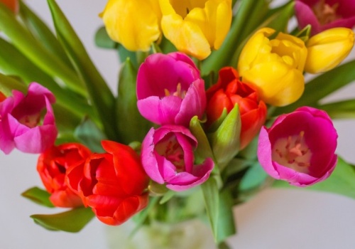 Kwiaty w wazonie szybko więdną? Mało kto wie, że znaczenie ma ilość wody