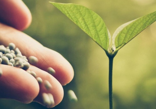 Wojna na Bliskim Wschodzie wpływa na ceny gazu, obawy rolników