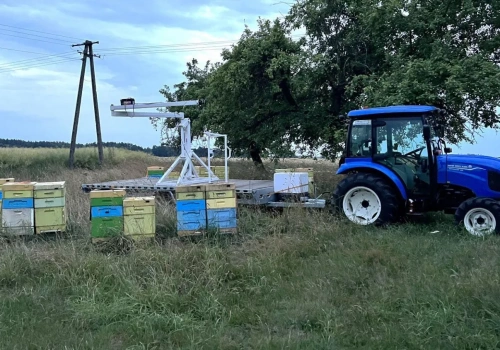 Import miodu – sprowadzamy dużo i za grosze. Polskie pszczelarstwo pod wielką presją!