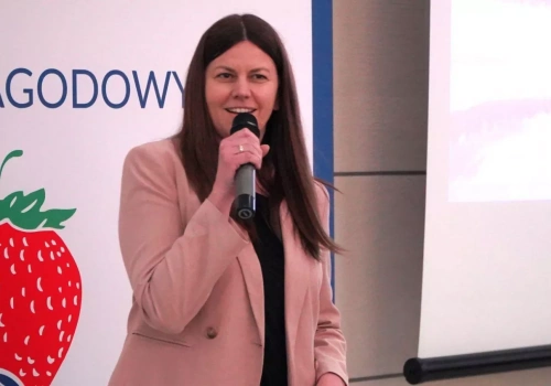 Przędziorki, roztocza i pozostałości substancji aktywnych – o czym nie można zapomnieć w ochronie truskawki?