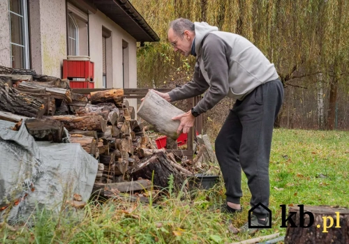 Ceny drewna opałowego w marcu 2026 - najdroższe gatunki wciąż kosztują majątek