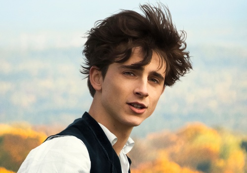 Pusty i powierzchowny? Mocne słowa na temat Timothée Chalameta