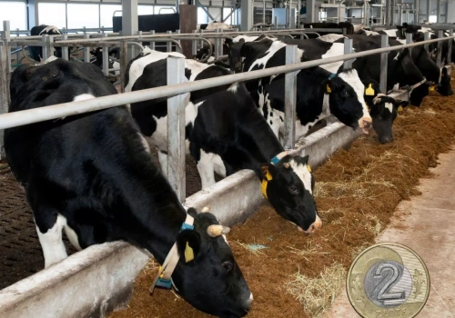 Nowe zasady umów na mleko. Eksperci: rolnicy nadal bez ochrony