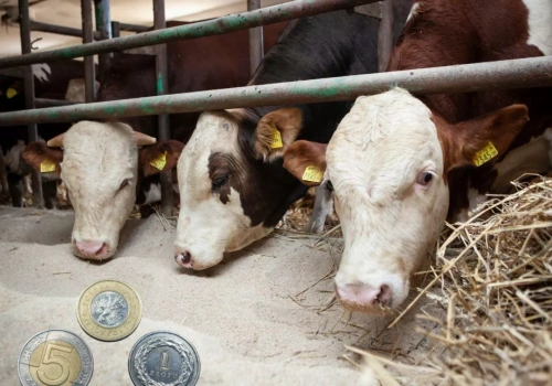 ARiMR wzywa rolników. Masz 7 dni na dokumenty