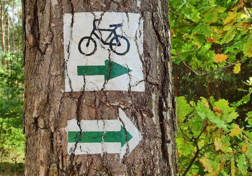 Na Podkarpaciu powstanie nowy szlak rowerowy. Będzie częścią Green Velo