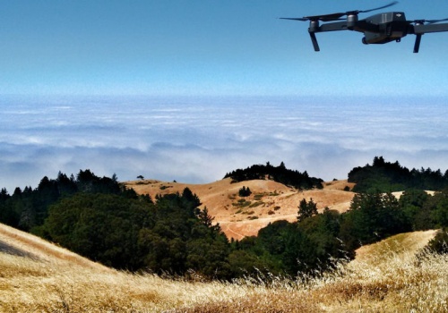 To ma być ostateczna recepta na drony bojowe. Projekt ma dosłownie razić skutecznością