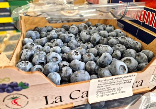 Polska sprowadza więcej borówek niż eksortuje