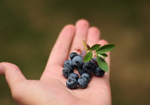 Co jedli pierwsi Europejczycy? Zdradza to ceramika sprzed tysięcy lat