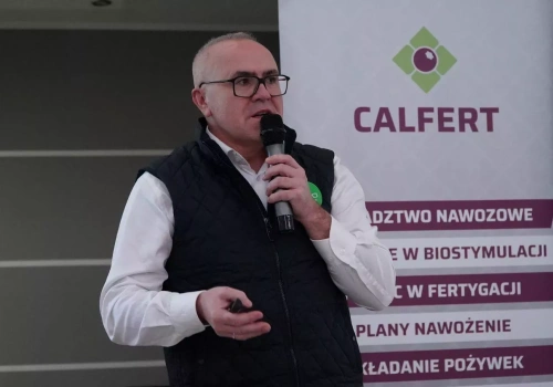 Kwas podchlorawy w ochronie truskawek – jak zmienia podejście do stresu i chorób roślin