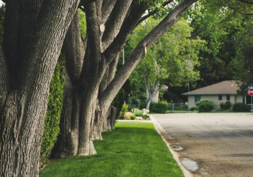 Jak połączyć aktywny styl życia z ciszą i spokojem podwarszawskiej natury?