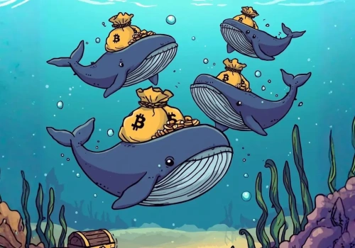 Rezerwy Bitcoina na giełdach najniższe od 2019 roku. Cena BTC może szybko zareagować