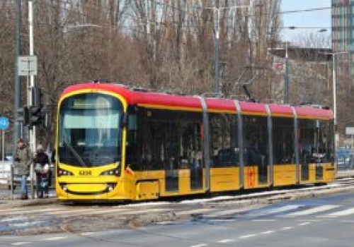 Dziki na torach w Miasteczku Wilanów. Utrudnienia w ruchu tramwajów