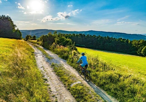 Rowerem do uzdrowiska. Powstanie ważny odcinek trasy za 12,6 mln zł