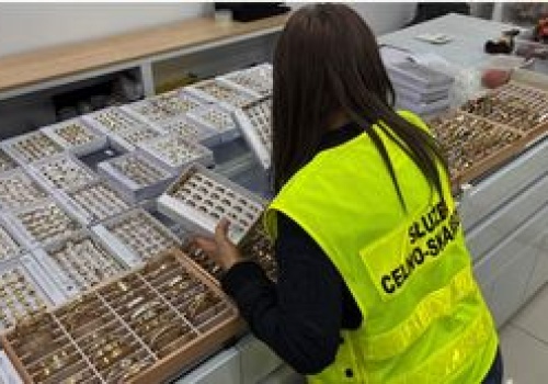 Podróbki za 6,5 mln zł. To znaleźli w warszawskim centrum handlowym