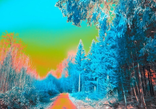 Takiej komunikacji nie da się złamać, ani przechwycić. Wystarczy ta jedna rzecz