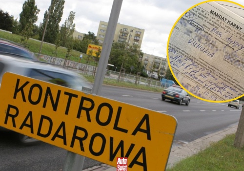 Znalazłem instrukcję legalnego unikania płacenia mandatów. Jest na stronach rządu