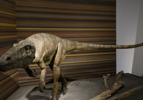 Wielki jak dwa niedźwiedzie. Netflix pokazał ogromną bestię z Europy