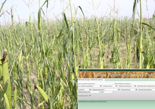 Od września nowe zasady w ubezpieczeniu upraw: rolnik płaci składkę, ubezpieczyciel raportuje do systemu