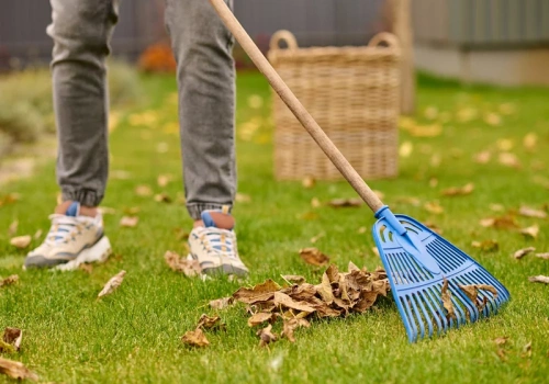 Zrób to z trawnikiem w marcu. Inaczej pojawią się łyse placki