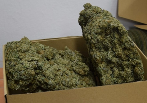 Policja przejęła ponad kilogram różnych narkotyków