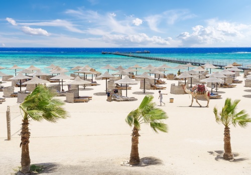 Egipska plaża i rafa koralowa 🏖️🐠🌊 All inclusive w 4* hotelu za 1803 PLN