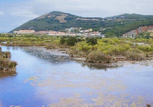 Program LIFE pozwoli na przywrócenie mokradeł w UE?