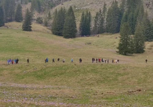 Turyści chcą je zobaczyć na własne oczy. Zakopane czeka oblężenie