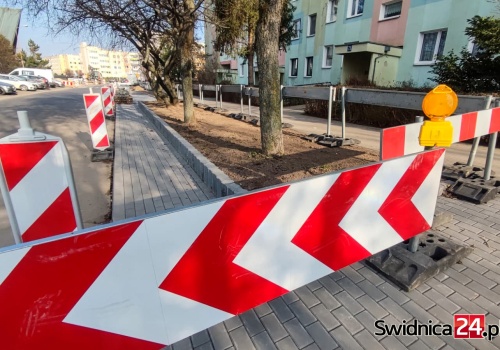 Ubyło miejsc parkingowych, zniknęły drzewa. Trwa budowa nowych przystanków i ścieżki rowerowej