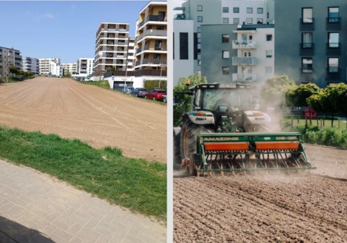 Koniec ze słynnym polem między blokami. Teren wykupił deweloper, staną tam kolejne bloki