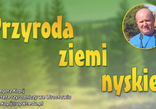 Przyroda ziemi nyskiej: Enigmatyczna zielonka